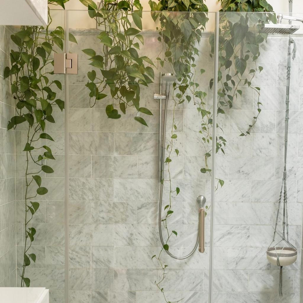 The Benefits Of Plants In The Bathroom
